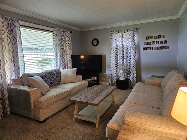 living area featuring ornamental molding