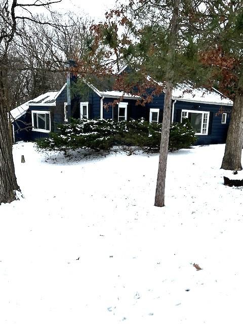 view of yard covered in snow