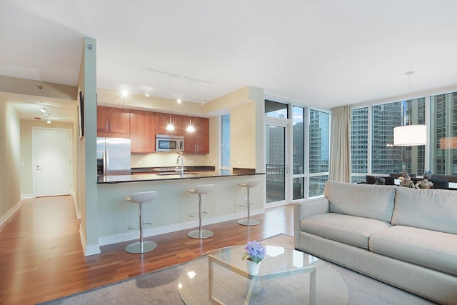 living room featuring light hardwood / wood-style floors, sink, expansive windows, and rail lighting