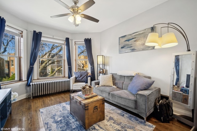 living room with dark hardwood / wood-style flooring, ceiling fan, radiator heating unit, and plenty of natural light