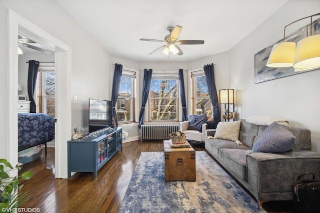 living room featuring radiator heating unit, dark hardwood / wood-style flooring, and ceiling fan