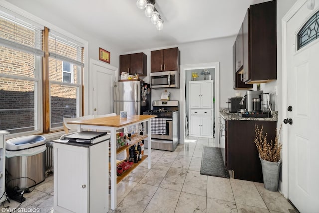 kitchen with dark brown cabinetry and appliances with stainless steel finishes