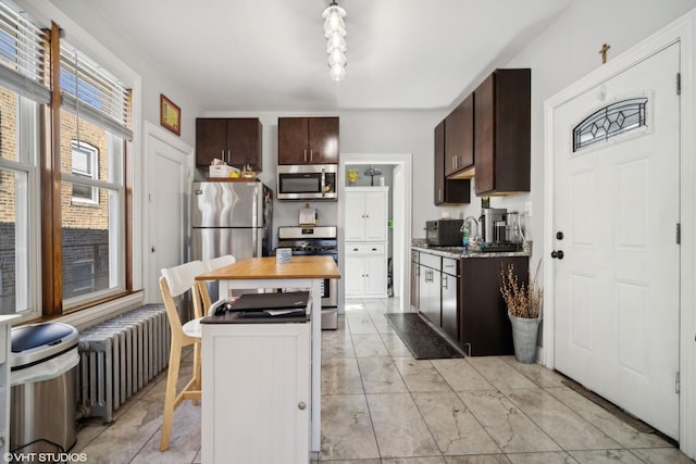 kitchen featuring radiator heating unit, stainless steel appliances, and dark brown cabinets