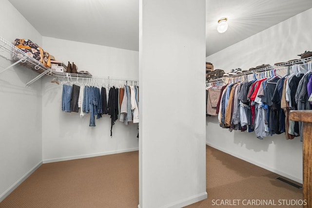 spacious closet with carpet flooring