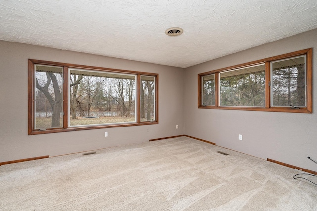 carpeted empty room with a textured ceiling and a wealth of natural light