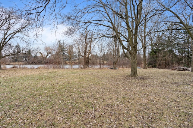 view of yard featuring a water view