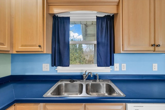 kitchen featuring white dishwasher and sink