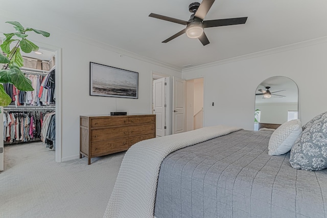 carpeted bedroom featuring crown molding, a spacious closet, ceiling fan, and a closet