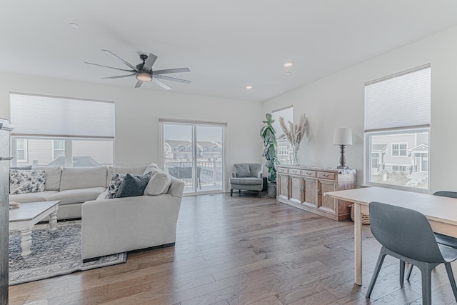 living room featuring ceiling fan and light hardwood / wood-style floors