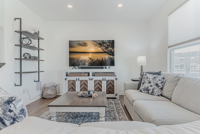 living room featuring hardwood / wood-style flooring