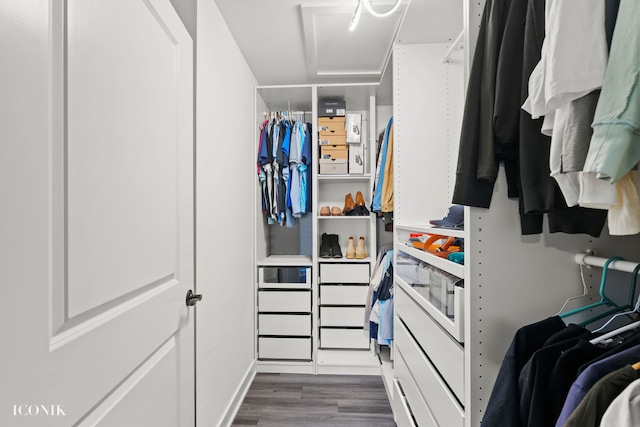 spacious closet with dark wood-type flooring