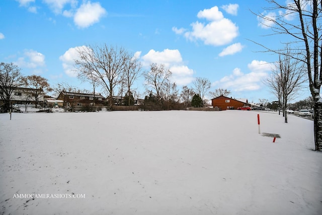 view of yard covered in snow