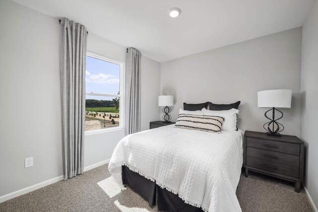 bedroom featuring carpet floors