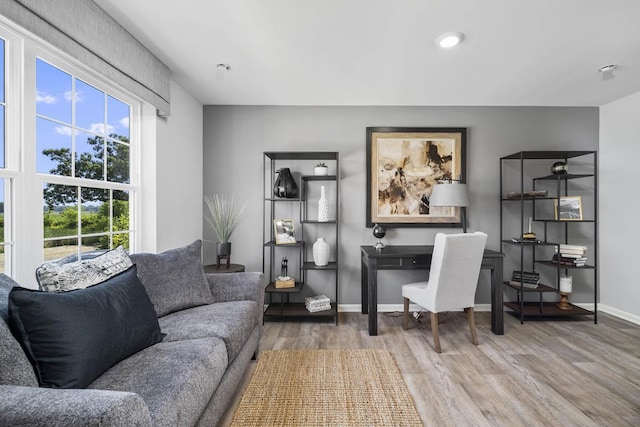 office space featuring hardwood / wood-style floors