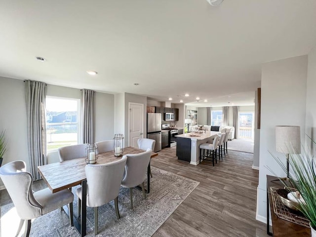 dining area with plenty of natural light and dark hardwood / wood-style flooring