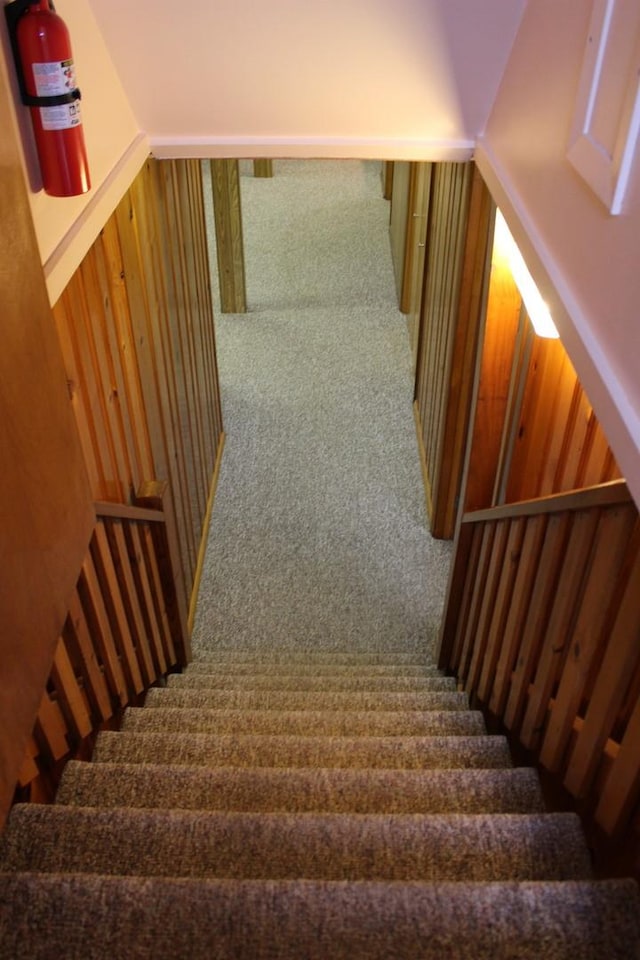 staircase with carpet floors