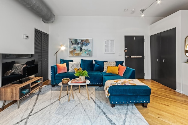 living room featuring wood-type flooring