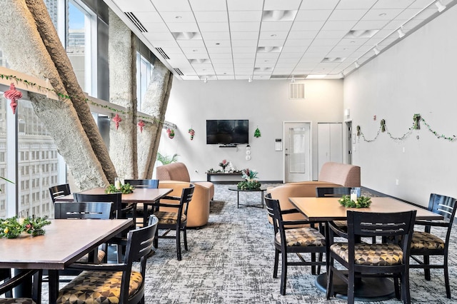 dining room with a drop ceiling and carpet floors