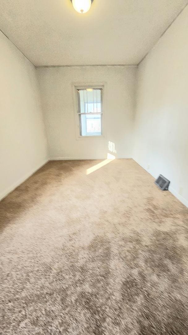 spare room with carpet floors