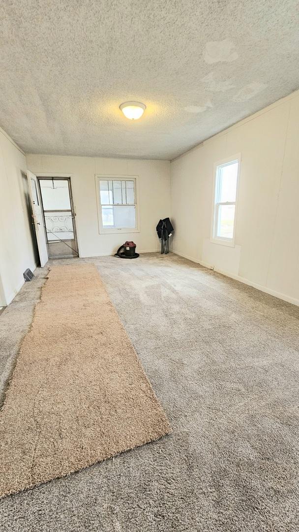 empty room featuring carpet flooring, plenty of natural light, and a textured ceiling