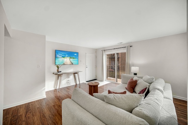 living room with wood-type flooring