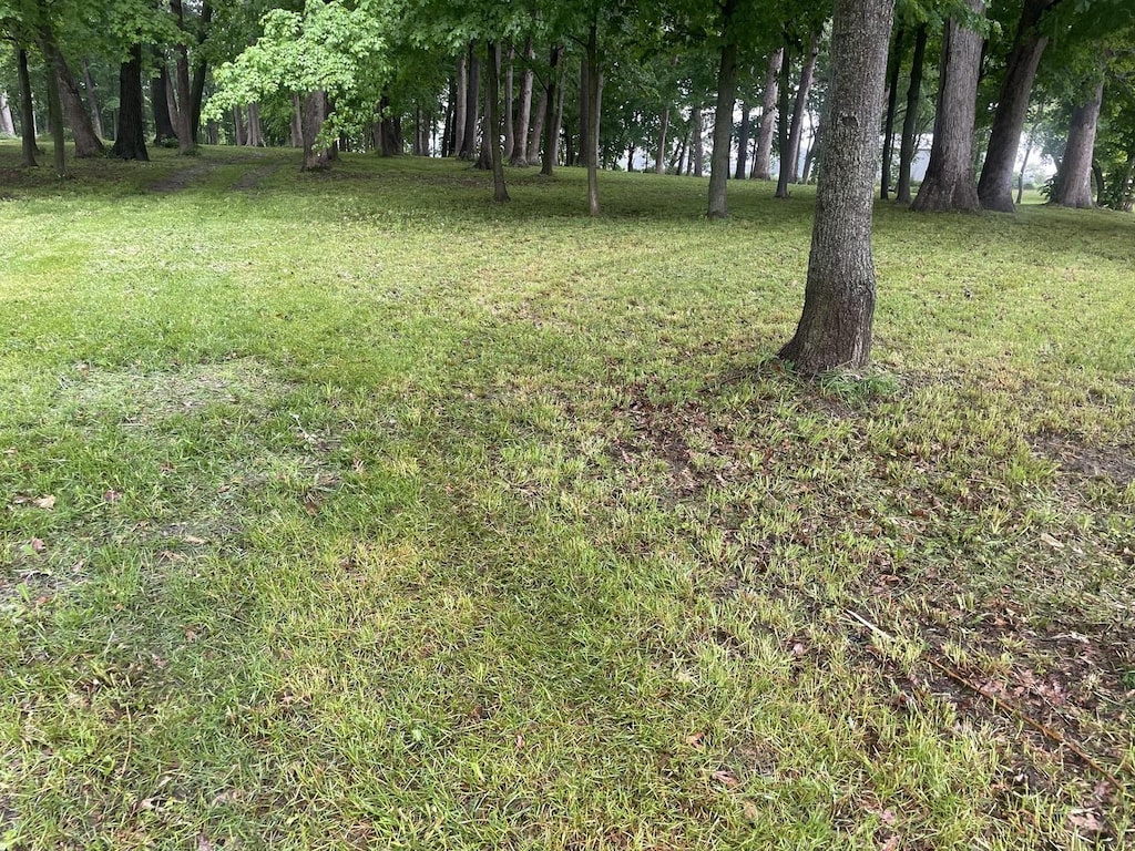 LOT1 Kendall Rd, Elgin, IL 60124 - photo 4