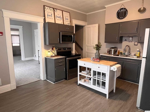 kitchen with dark wood-type flooring, butcher block counters, sink, ornamental molding, and appliances with stainless steel finishes