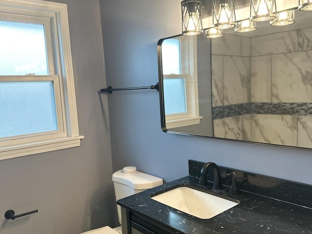 bathroom with toilet and vanity