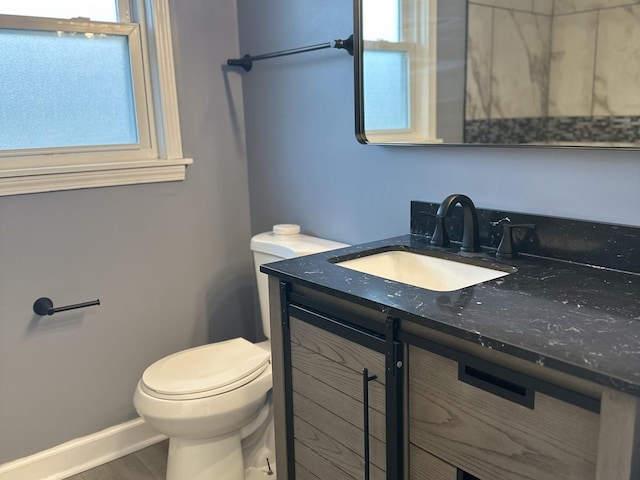 bathroom with toilet and vanity