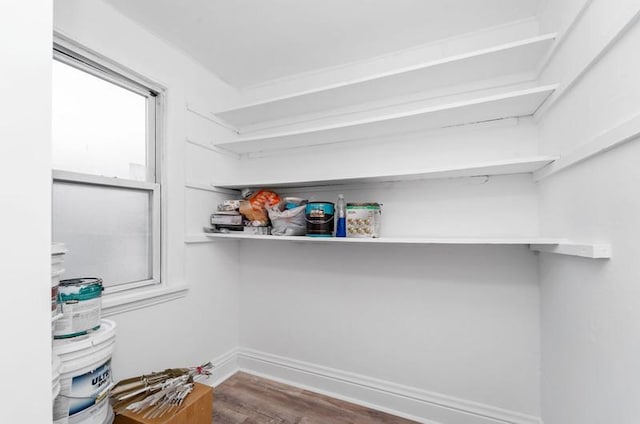 walk in closet with hardwood / wood-style flooring