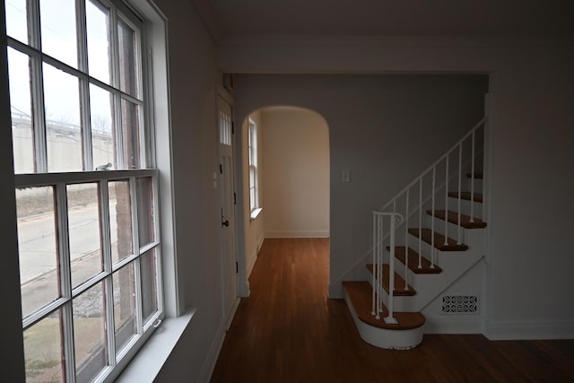 foyer entrance with dark hardwood / wood-style flooring