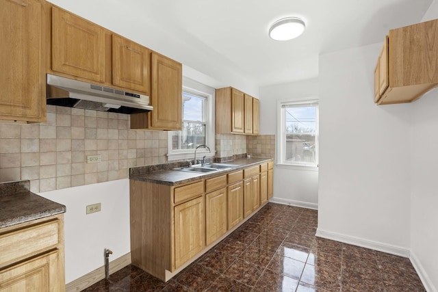 kitchen with tasteful backsplash and sink