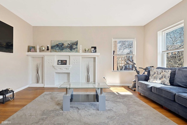 living room featuring hardwood / wood-style floors and a fireplace