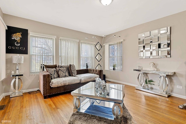 living room with wood-type flooring