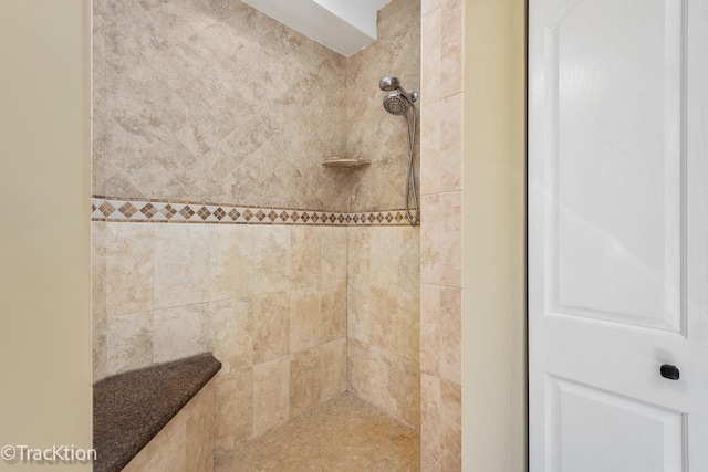 room details with tiled shower