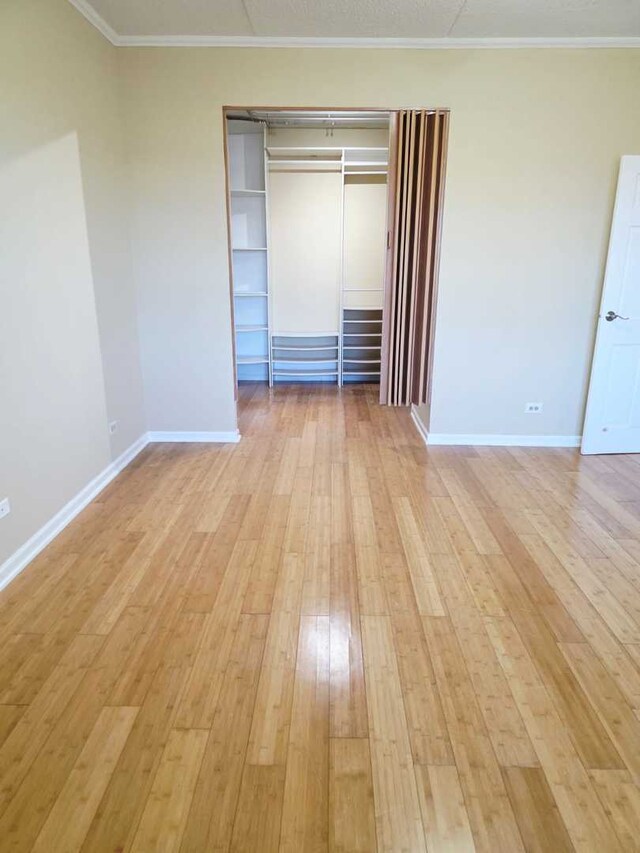 walk in closet featuring dark wood-type flooring