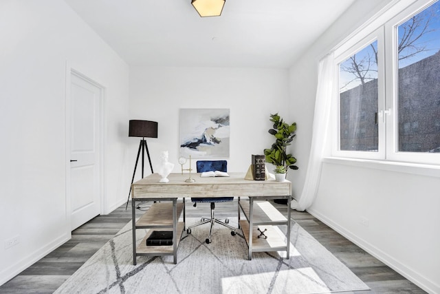 home office featuring wood-type flooring