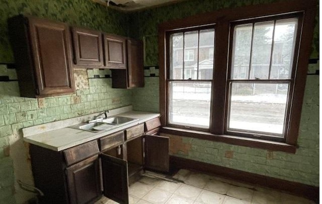 kitchen with dark brown cabinetry, a healthy amount of sunlight, and sink