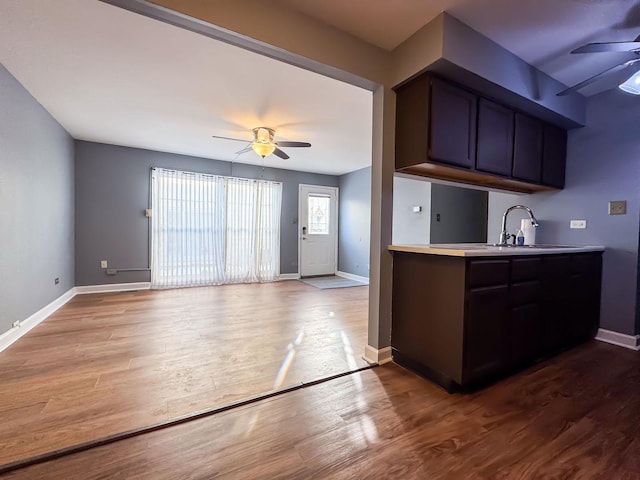 kitchen featuring hardwood / wood-style flooring, ceiling fan, dark brown cabinetry, and sink