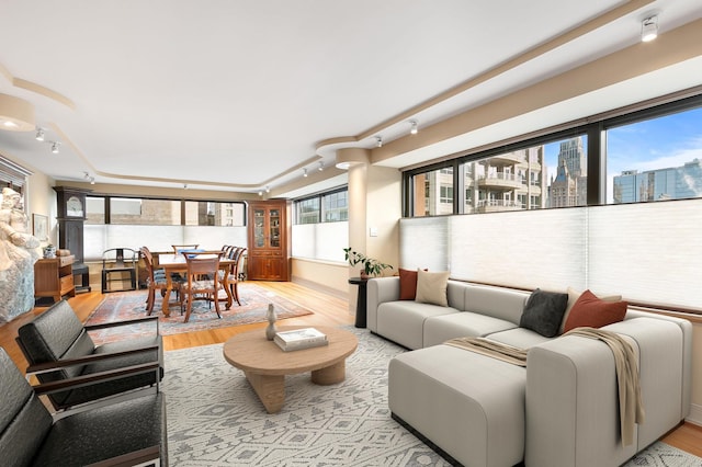 living room with rail lighting, a healthy amount of sunlight, a city view, and wood finished floors