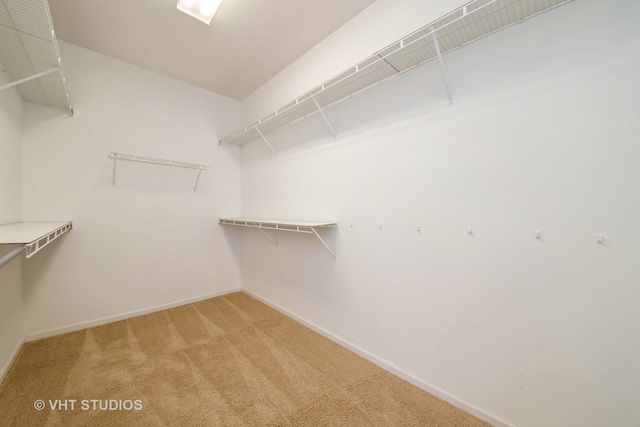 spacious closet with carpet floors