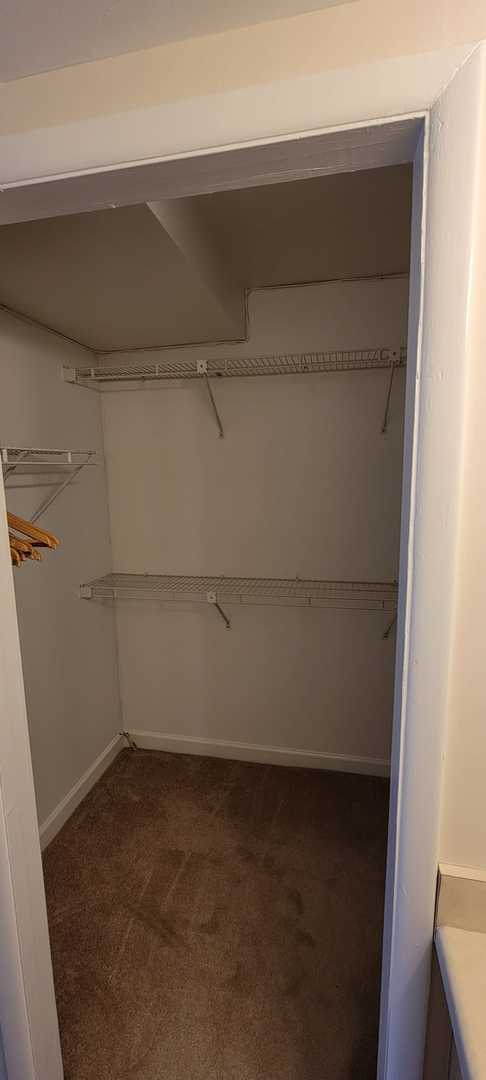 walk in closet featuring dark carpet