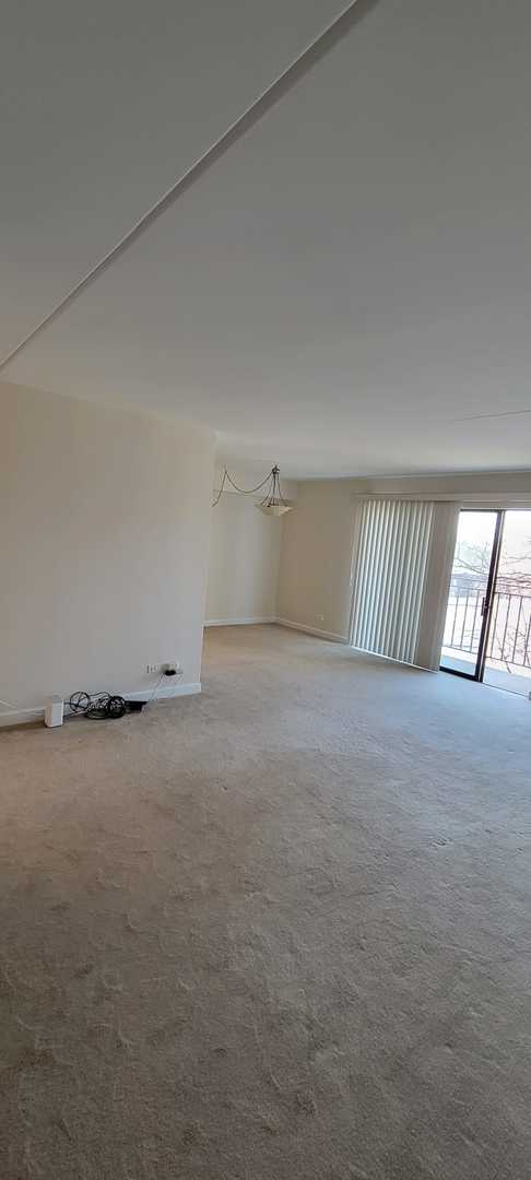 unfurnished room featuring carpet floors