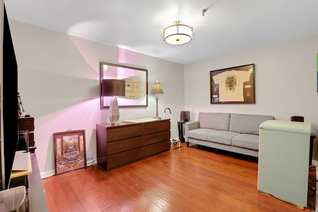 living room with hardwood / wood-style flooring