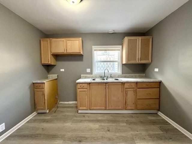 kitchen featuring sink and light wood-type flooring