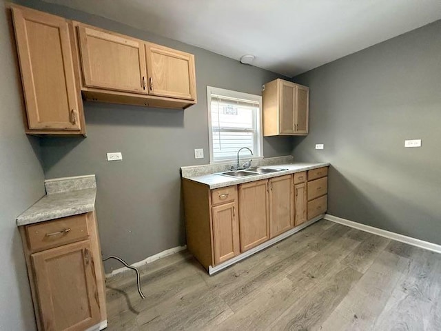 kitchen with sink and light hardwood / wood-style flooring