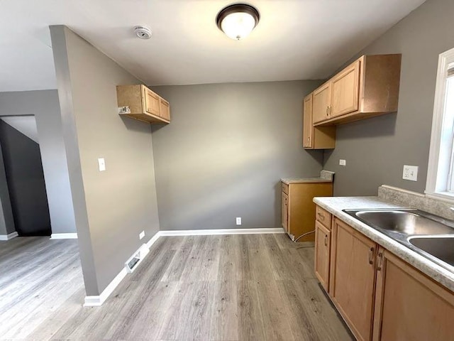 kitchen with light wood-type flooring and sink