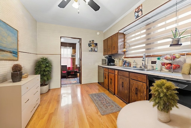 kitchen with dishwasher, sink, ceiling fan, and light hardwood / wood-style floors