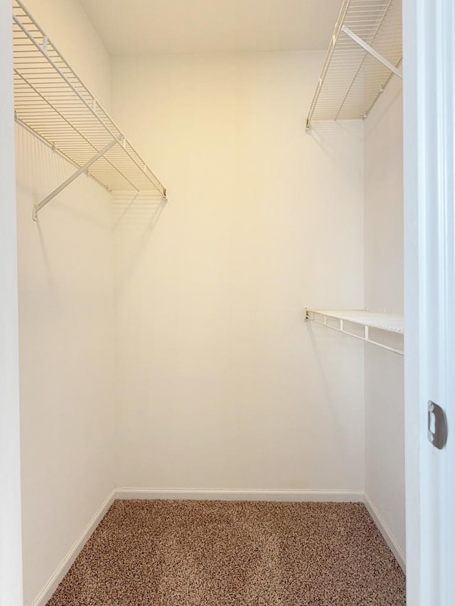 spacious closet with carpet flooring