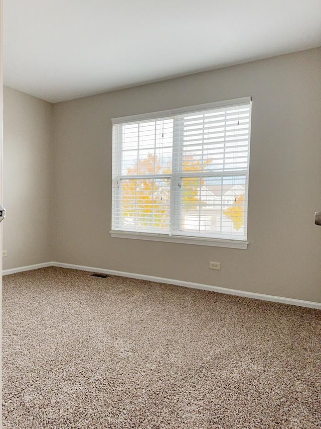 carpeted empty room featuring a wealth of natural light